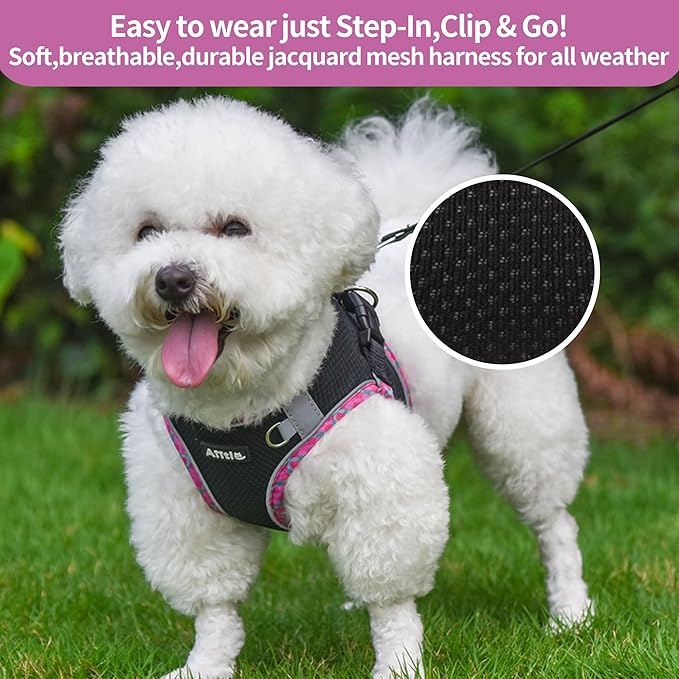 AIITLE Tiny Dog Harness - Lightweight Mesh Step-in Vest for Puppy, Reflective & Escape-Proof Design with High-Stick Magic Tape - Indoor/Outdoor Use for Chihuahua, Maltese, Shih Tzu(Black, XXXS)