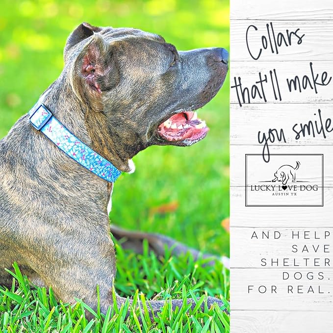Lucky Love Dog Martingale Dog Collar & Leash - Adjustable, No-Slip, Durable, Comfortable, Soft Webbing, & Stylish Patterned Collar & Leash Set for Male and Female Dogs - Winterblue Combo, Medium