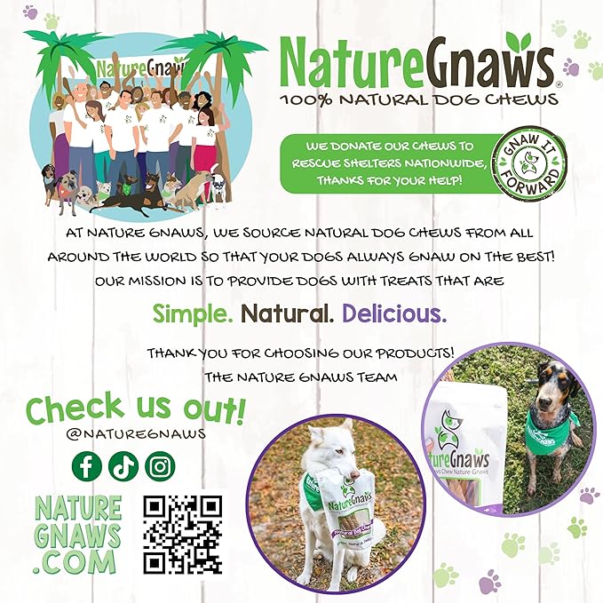 Nature Gnaws Beef Trachea Crunch Wraps for Dogs (3 Count) - Long Lasting Natural Beef Jerky Dog Chew Bones - Rawhide Free