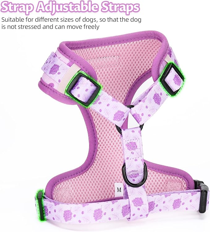 Dog Harness and Leash Set, Adjustable Dog Harness, Dog Leash, No Pull No Choke Puppy Harnesses for Walking Training for Small Medium Pet (Wines, L(Chest 18.5-27.1", Neck 14.5-20.1"))