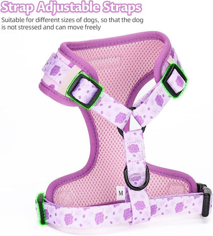 Dog Harness and Leash Set, Adjustable Dog Harness, Dog Leash, No Pull No Choke Puppy Harnesses for Walking Training for Small Medium Pet (Wines, M(Chest 15.7-22.1", Neck 12-15"))