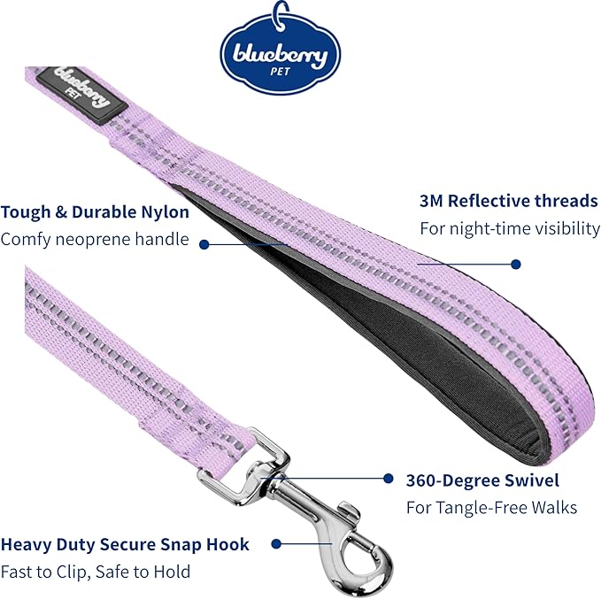 Blueberry Pet 3M Reflective Pastel Color Dog Leash with Soft & Comfortable Handle, 4 ft x 1", Lavender, Large, Leashes for Dogs