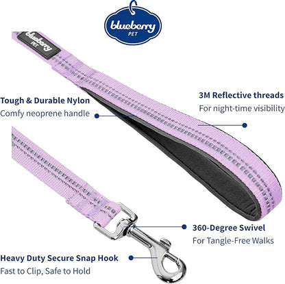 Blueberry Pet 3M Reflective Pastel Color Dog Leash with Soft & Comfortable Handle, 4 ft x 1", Lavender, Large, Leashes for Dogs