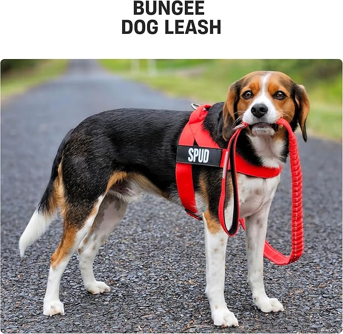 Dog Friendly Co. Bungee Dog Leash | Strain Free & Shock Resistant for Control | Neoprene Padded Handle, Heavy-Duty Carabiner Clip, and D-Ring | Green Camo, Size Regular