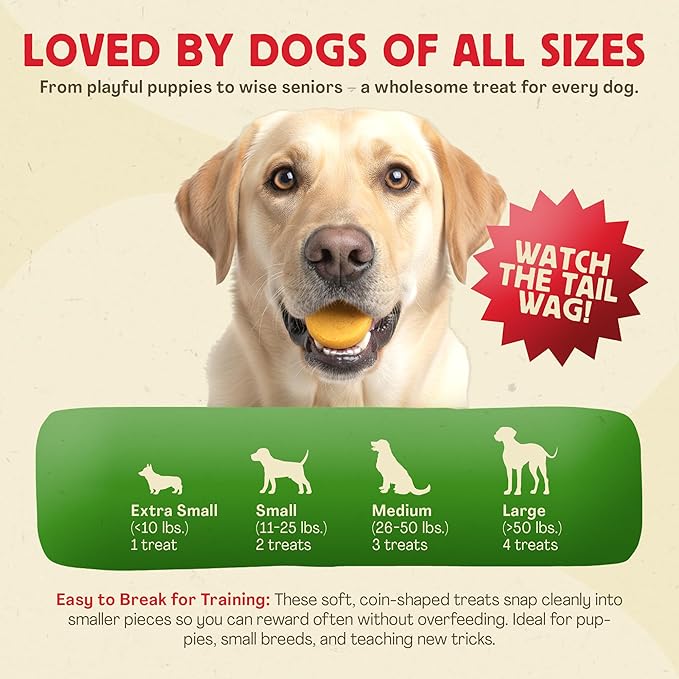 Chewmasters Chicken Coins Training Treats for Dogs (32 oz) – Dog Training Treats – Healthy Rewards – Real Chicken Meat Bites for All Breeds