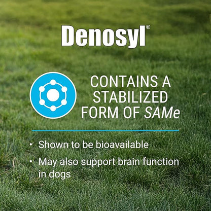Nutramax Laboratories Denosyl for Dogs, Liver and Brain Health Supplement for Large Dogs, with S-adenosylmethionine (SAMe), Stabilized Tablets, 30 Count