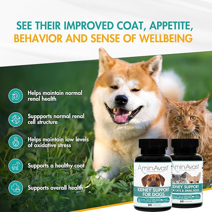 AminAvast Kidney Support Supplement for Cats and Small Dogs, 300mg 2-Pack - Promotes Natural Kidney Function - Aids in Health and Vitality of Aging Kidneys - Easily Administered - 60 Sprinkle Capsules