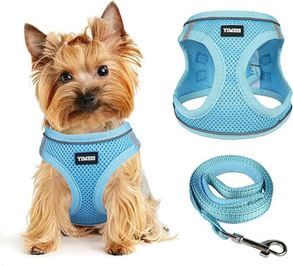 Dog Harness for Small Dogs and Leash Set, Honeycomb Grid, Reflective Lightweight Harness & Anti-Twist Pet Lead Multi Color, Size: XS-S-M. (M, Sky Blue)