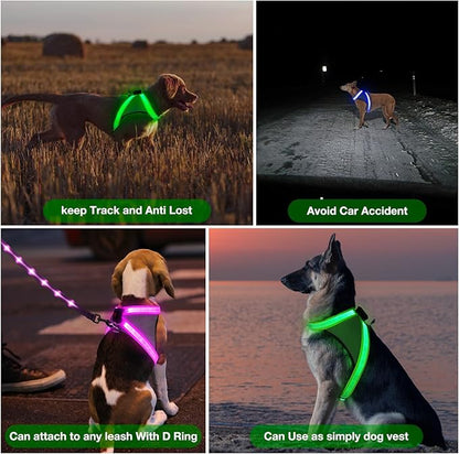 ChalkLit Light Up Dog Harness, No Pull Led Dog Harness Glow-in-The-Dark for Night Walking, USB Rechargeable Lighted Safety Vest for Medium Large Dogs, Adjustable Soft Mesh Fully Illuminated(Green, XL)