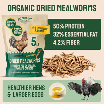 Hatortempt Dried Mealworms - Non-GMO & Organic - High-Protein Mealworms for Wild Bird Food, Ducks & Chickens (5lb)
