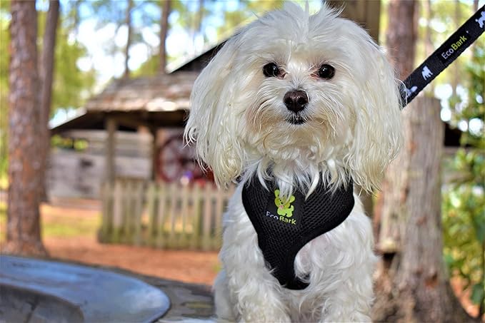 EcoBark Dog Leash - Soft & Reflective Comfort Training Leashes with Padded Handle - Safe, Strong, & Durable for Small, Medium or Large Dogs (Black)