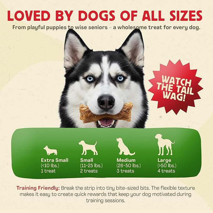 Chewmasters Chicken Strips Dog Treats - Made from Premium White Meat Chicken - All Natural - No Artificial Additives - Protein Rich Dog Snacks - Healthy Training Treats for All Breeds & Life Stages