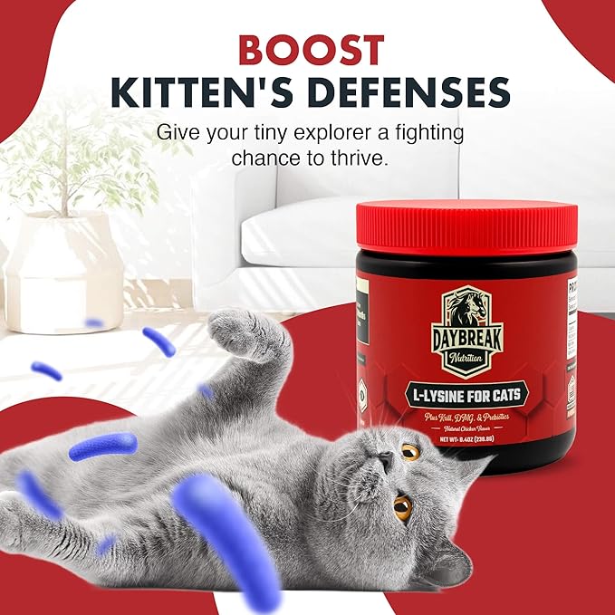 Daybreak Nutrition Lysine for Cats 900mg Powder - L-Lysine with 4 Active Ingredients for Immune and Respiratory Support - Made in USA Feline Supplement with 120 Servings
