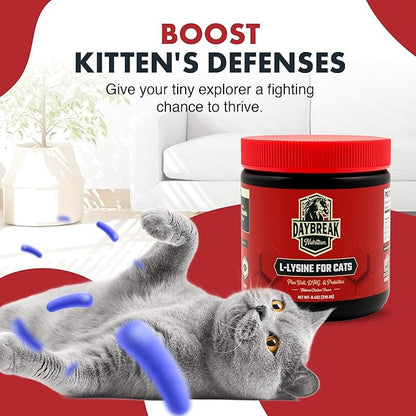 Daybreak Nutrition Lysine for Cats 900mg Powder - L-Lysine with 4 Active Ingredients for Immune and Respiratory Support - Made in USA Feline Supplement with 120 Servings