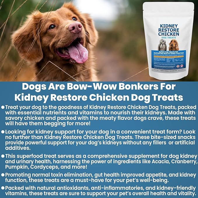 Kidney Restore Chicken Dog Treats for Kidney Support. Low Protein Supports Kidney Health. Kidney Function Treats for Kidney Dog Diet