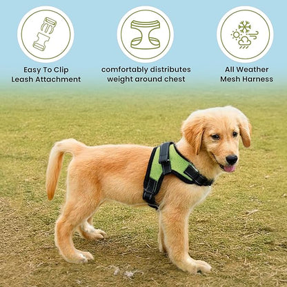 No Pull Reflective Adjustable Dog Harness with Handle- Comfortable Soft All Weather Mesh, Easy On Puppy Harness for Small Medium and Large Dogs (Green) Large