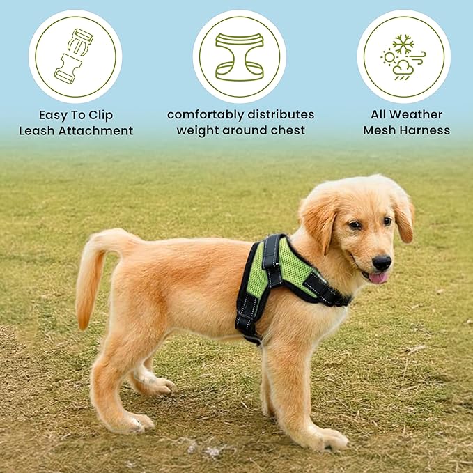 No Pull Reflective Adjustable Dog Harness with Handle- Comfortable Soft All Weather Mesh, Easy On Puppy Harness for Small Medium and Large Dogs (Green) X-Small