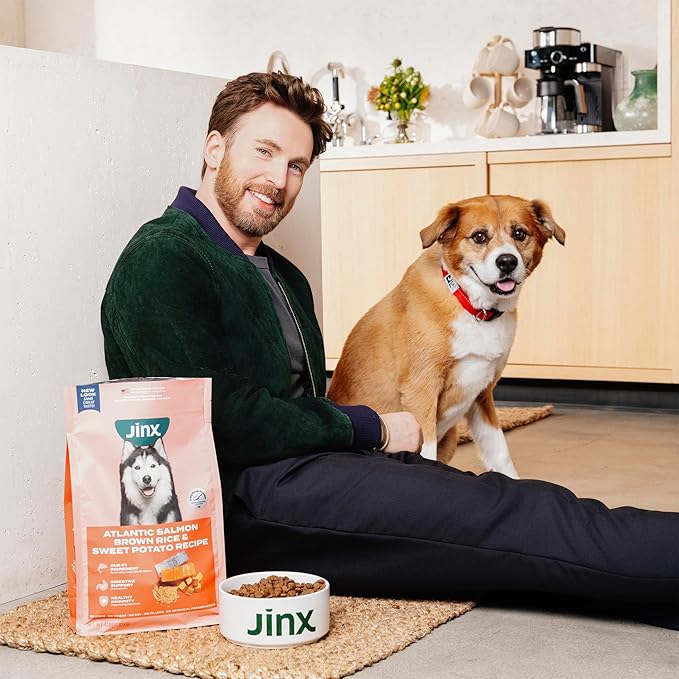 Jinx Premium Dry Dog Food for Senior Dogs - Real Chicken, Brown Rice & Sweet Potato Kibble with Antioxidants for Immune Support & Whole Grains for Digestive Support - No Fillers - 11.5lb