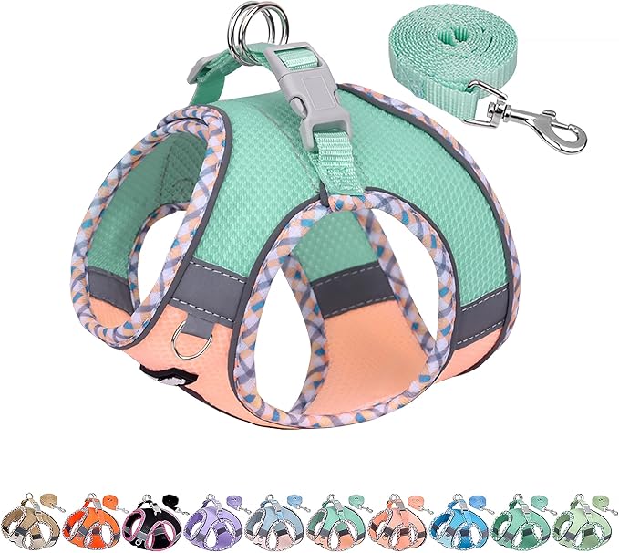 AIITLE Dog Harness and Leash Set - Ultra-Comfortable XXS-XL Vest with Strong Magic Tape & Glow-in-Dark Reflective Strips, Chafe-Free for Teddy, Schnauzer (Turquoise-Pink, M)