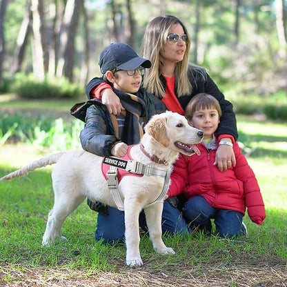 voopet Emotional Support Dog Harness, Professional Service Dog Vest Harness for Small Medium Large Dogs, Reflective Breathable and Adjustable No Pull/Choke ESA Essential Harness
