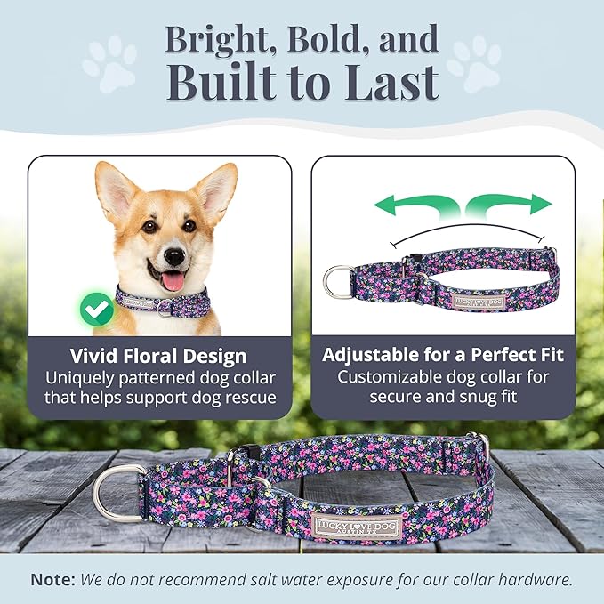 Lucky Love Dog Martingale Dog Collar - Adjustable, No-Slip, Durable, & Soft Webbing Collar for Male and Female Dogs Ideal for Training & Walking - Primrose, Small
