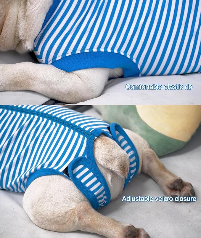 Dog Blue Recovery Suit for X-Small Female Spay,Male Dog Surgery Suit,Narrow Blue-White XS