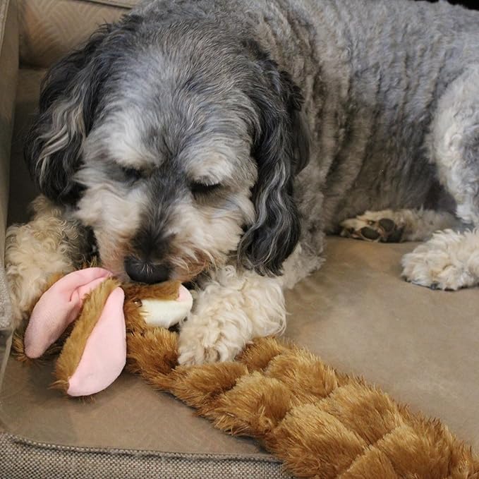 SPOT Skinneeez Tons-O-Squeakers Rabbit Dog Toy - with 19 Squeakers for Tons-O-Fun! Stuffing-Free, Great for Moderate Chewers, Tug Toy for Medium to Large Puppies & Dogs - 20in, Assorted Styles