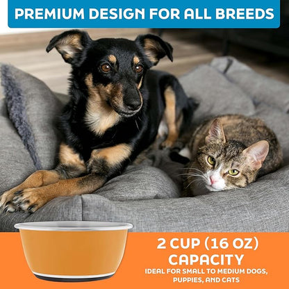 Master Pet Supply Stainless Steel Dog Bowls Set of 2 (16 Oz Each) with Non-Slip Rubber Base - Mango Tango - Basic Dog Food Bowl Water & Food Bowls for Small Medium Large Dogs & Cats, Metal Dish