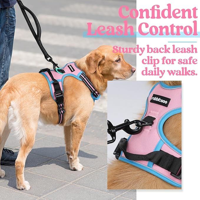 rabbitgoo Dog Harness No Pull with 2 Leash Clips, Adjustable Soft Padded, Reflective Oxford No Choke Pet Vest with Easy Control Handle for Large Dogs, Pink & Blue, XL