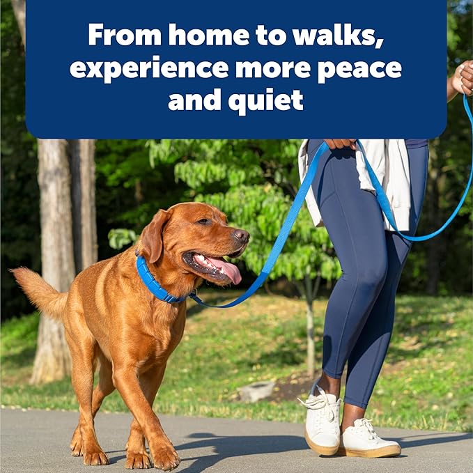 PetSafe Soft Point Training Collar - Comfortable No-Pull Adjustable Quick-Release Collar with Removable Soft Rubber Points - Pain-Free Training for Better Leash Manners - Large - Blue