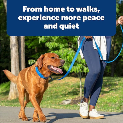 PetSafe Soft Point Training Collar - Comfortable No-Pull Adjustable Quick-Release Collar with Removable Soft Rubber Points - Pain-Free Training for Better Leash Manners - Large - Blue