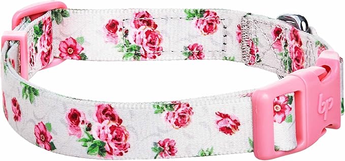 Cherry Garden Dog Collar with Dainty Flowers