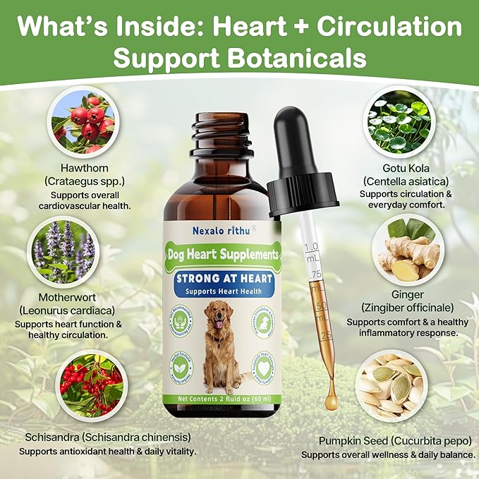 Heartw0rm Prevention for Dogs, Fast-Absorbing Liquid with Hawthorn & Motherwort, Supports Heart Function & Smooth Circulation, Helps Maintain Daily Vitality,Young Heart for Dogs, 2 fl oz/60 mL