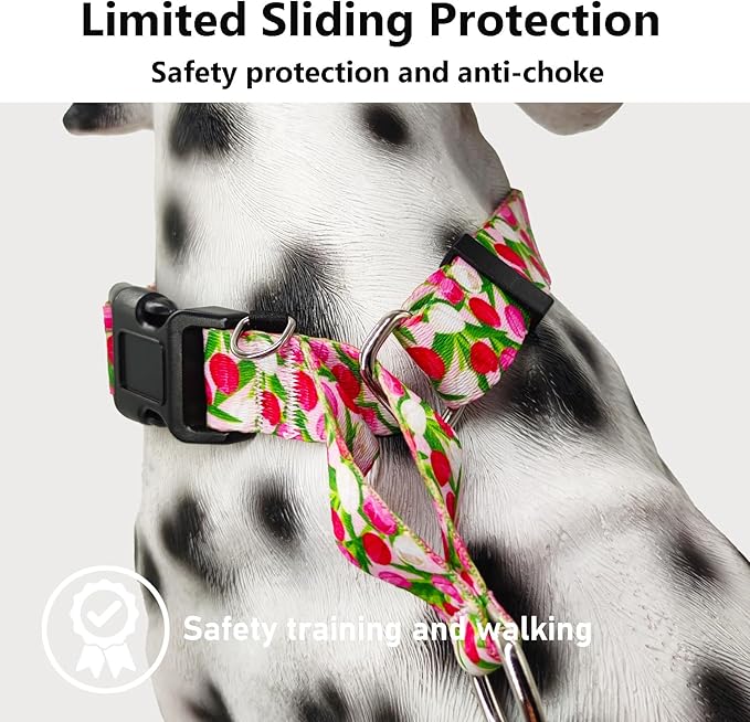 Martingale Collar for Dogs with Buckle Floral No Pull Adjustable Nylon Limited Slip Training Dog Collars Pink Tulip, Large