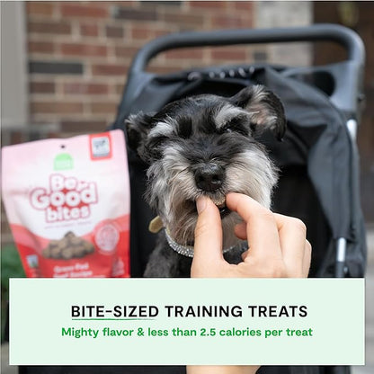 Open Farm, Be Good Bites, Soft Dog Training Treats, Small & Chewy, Made with Ethically & Sustainably Sourced Ingredients, Non-GMO Fruits & Grains, Wild-Caigh Salmon Recipe, 6oz Pouch
