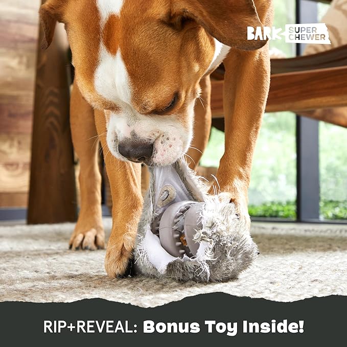 Barkbox Super Chewer Tough Dog Chew Toys for Aggressive Chewers, Plush 2 Toys in 1 (Hare Raiser - Large)