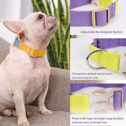 No Pull Dog Harness and Leash Set, Dog Collar, Step in Dog Halter Harness with Poop Bag Holder, Adjustable Lightweight Cotton Straps Suitable for Small Medium Large Dogs Outdoor Walking Running Hiking