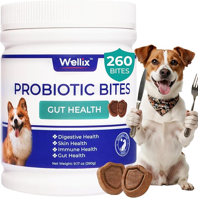 Wellix 260 Bites Probiotics for Dogs - Dog Probiotics and Prebiotics with Pumkin - Improve Digestive Health, Allergies and Itchy Skin Relief Natural Gut Health Supplements for Small Medium Senior Dog