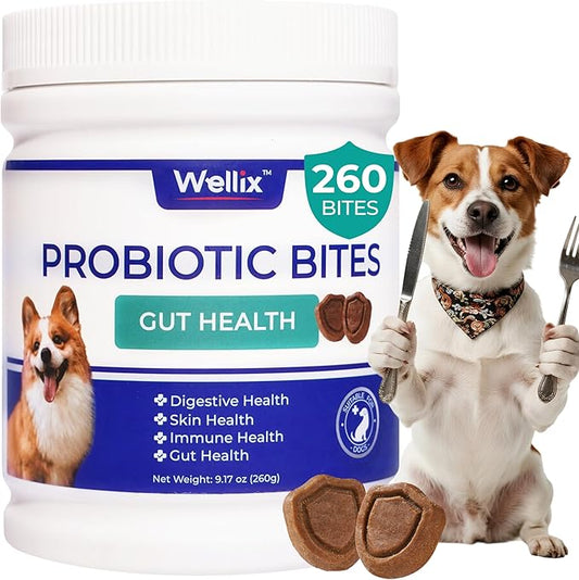 Wellix 260 Bites Probiotics for Dogs - Dog Probiotics and Prebiotics with Pumkin - Improve Digestive Health, Allergies and Itchy Skin Relief Natural Gut Health Supplements for Small Medium Senior Dog