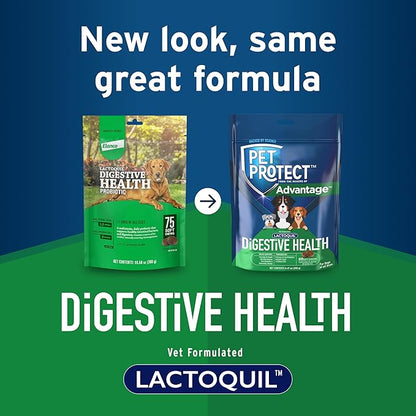 Pet Protect Digestive Health Supplement with Probiotics for Dogs, Vet-Formulated Lactoquil, Chicken-Flavored Soft Chews (60 Count)