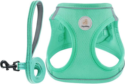 Hipubby Dog Harness and Leash Set, No Pull Soft Mesh Puppy Harness for Small Medium Dogs, Cats - Step in Reflective Breathable Lightweight Vest Harness for Walking, Training - Green, XS