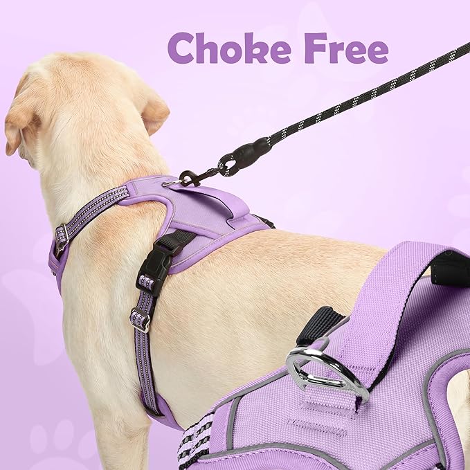 Funfox Dog Harness No Pull, Adjustable Pet Vest Harness, Super Soft Material with Vertical Handle Easy Control, Reflective Night Walking, 2 Leash Clips for Medium Sized Dogs, Purple, M