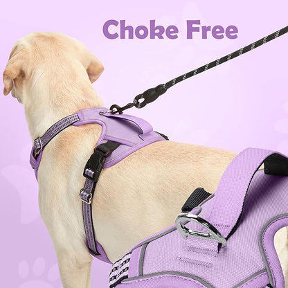 Funfox Dog Harness No Pull, Adjustable Pet Vest Harness, Super Soft Material with Vertical Handle Easy Control, Reflective Night Walking, 2 Leash Clips for Medium Sized Dogs, Purple, M