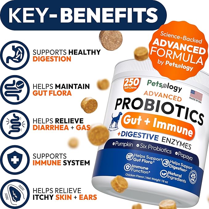 Probiotics for Dogs - 250 Dog Probiotics Chews - Digestive Enzymes & Prebiotics - Support Gut Health, Diarrhea, Gas & Constipation Relief - Itchy Skin, Allergies, Yeast Balance - Advanced Supplement
