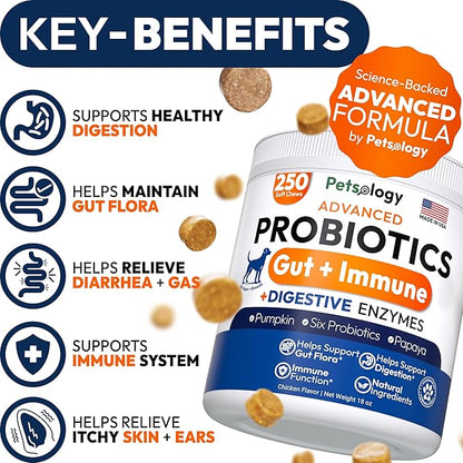 Probiotics for Dogs - 250 Dog Probiotics Chews - Digestive Enzymes & Prebiotics - Support Gut Health, Diarrhea, Gas & Constipation Relief - Itchy Skin, Allergies, Yeast Balance - Advanced Supplement