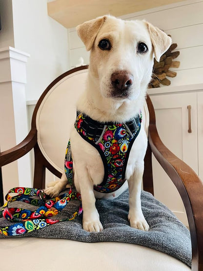 Lucky Love Dog No Pull Dog Harness, Adjustable and Easy to Walk, Cute Patterned Harness for SmallMale & Female Dogs - Blackbird, Small