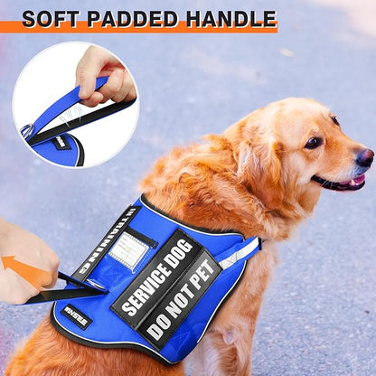 Service Dog Harness and Leash Set, Training Dog Vest with 10 Dog Patches, Emotional Support Therapy Dog Vest Harness for Small Medium Large and Extra Large Dogs(Blue, L)