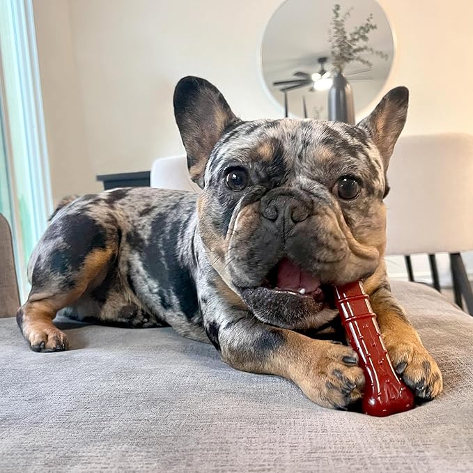 Nylabone Textured Bone Power Chew Toy for Dogs, Durable & Tough Dog Toys for Aggressive Chewers, Basted Blast Bacon & Steak Flavor, Medium Dogs - Up to 35 lbs, 1 Count