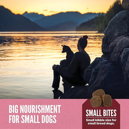 ORIJEN Amazing Grains High Protein Dry Dog Food Small Breed Recipe 4lb Bag
