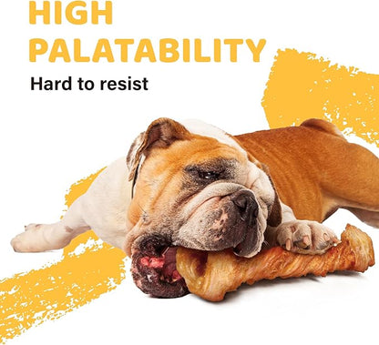 iPaw Turkey Tendons for Dogs 10 Pcs Bulk Pack, 100% Turkey and US Sourced Raw Material, Hypoallergenic, All Natural Human Grade Puppy Chew, Rawhide Alternative Dog Treats, Bone (Large)